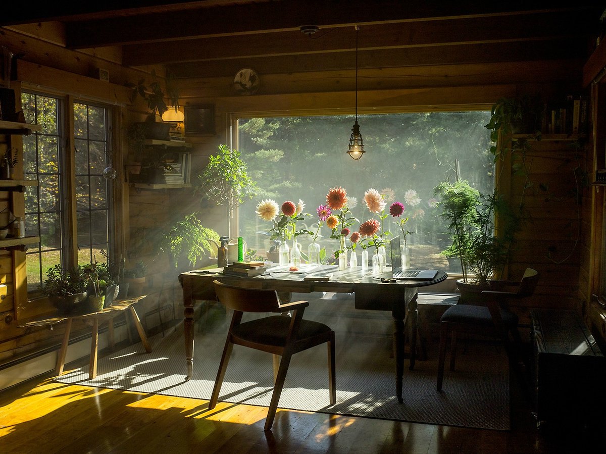 some zoom backgrounds for ur own perusal