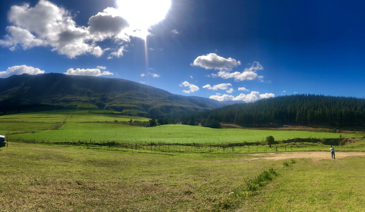 samhendricksZA's tweet image. The end of our long weekend. Endless views, peace and quiet, nature, outdoors. #farmlife #weekendsaway #friends #SwellendamTourism #supportlocal #leisuretravel #LockdownSA #level3 #WesternCape