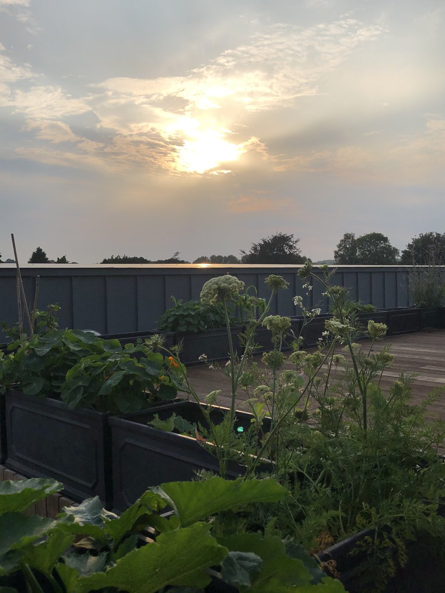 SDPHeadofPrep's tweet photo. A beautiful evening on the roof watering the plants... https://t.co/BASSqaGHHw