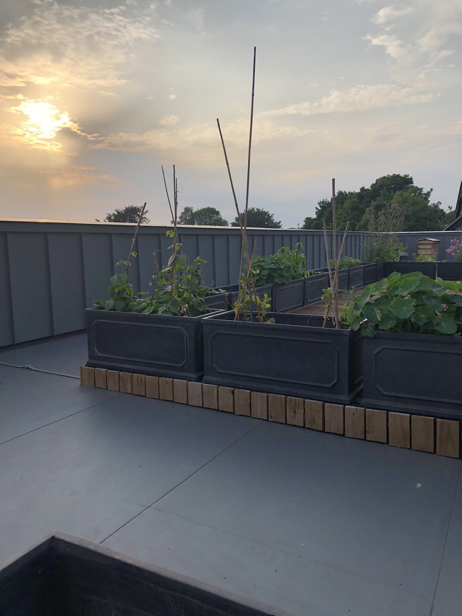 SDPHeadofPrep's tweet photo. Delighted with how our garden is coming along 🌞😊🌱 https://t.co/Rz0uEkSWcK