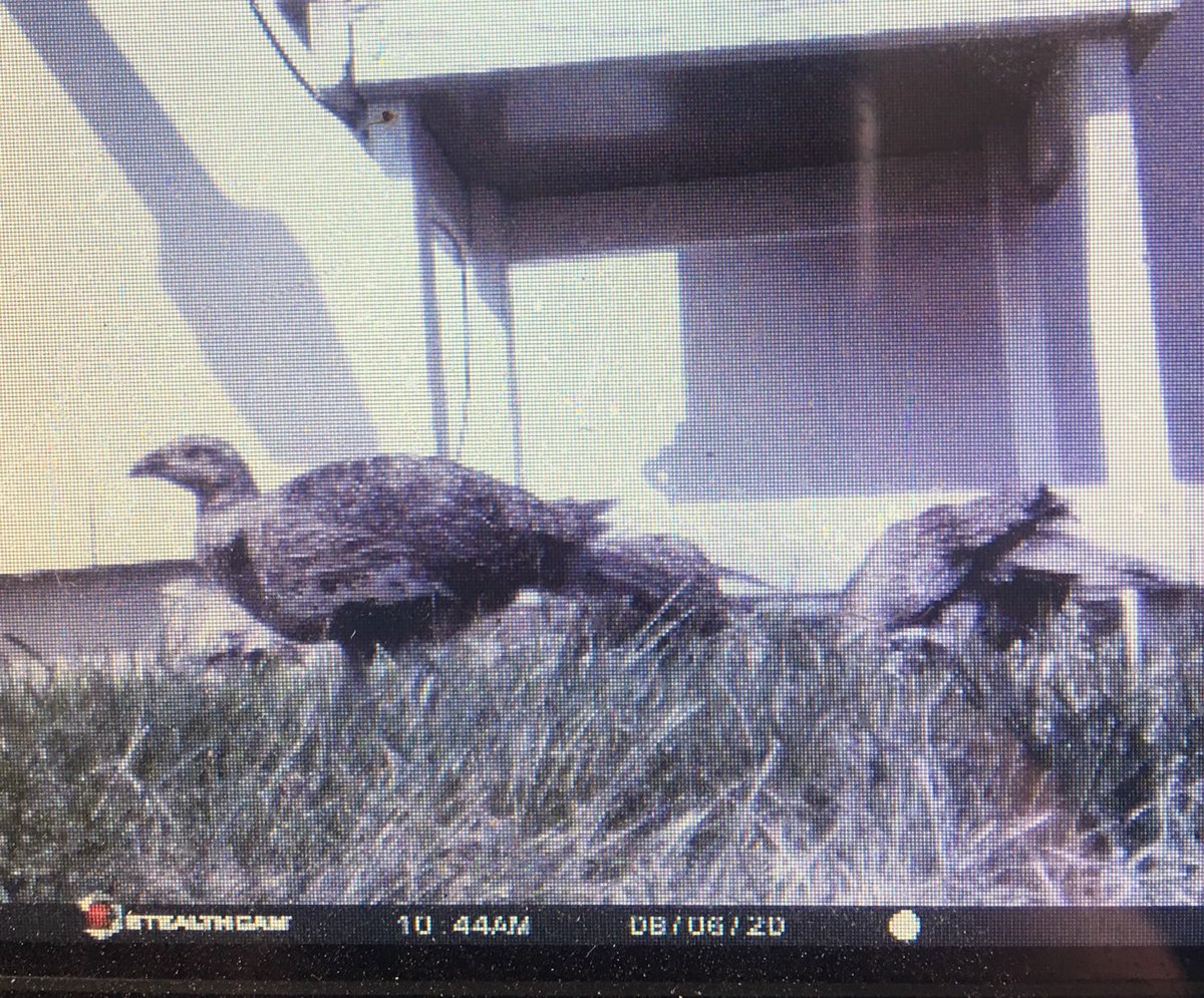 HuntFishSurplus tweet picture