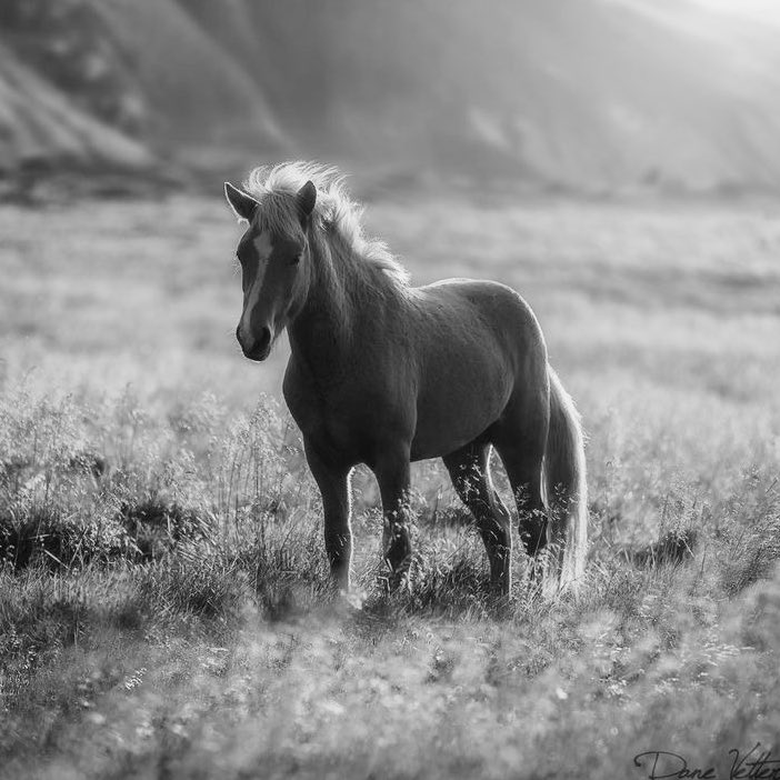 ⠀‹ 𝙇𝙊𝙍𝙀𝙉𝙕𝙊 𝘿𝙀’
            𝙈𝙀𝘿𝙄𝘾𝙄. ›

        𝑇𝑜 𝑏𝑒 𝐺𝑂𝑂𝐷,
       𝑤𝑒 𝑚𝑢𝑠𝑡 𝑑𝑜 𝑔 𝑜 𝑜 𝑑. 

     medici. medieval. nsfw. 
         ☠︎︎threads below.☠︎︎
        #𝓜𝑶𝑶𝑵𝑺𝑯𝑰𝑵𝑬.