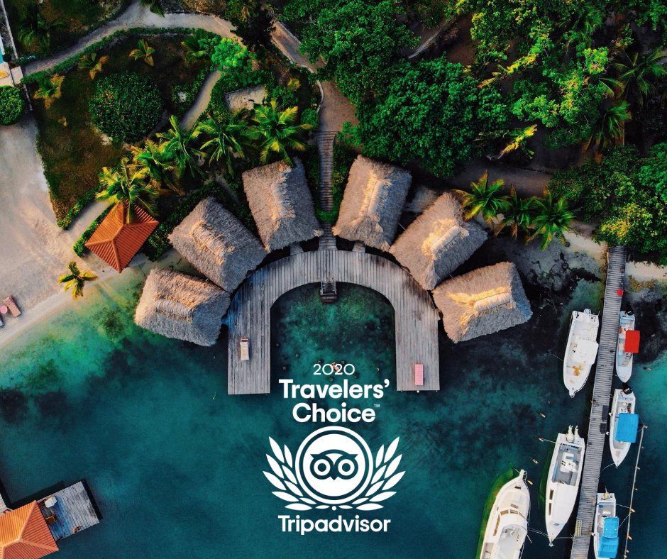 Belize_Resort's tweet photo. We are excited to announce that St. George's Caye Resort has been named a TripAdvisor 2020 Travelers Choice Award Winner! ✨😎😁 This means when you visit us, you are staying at one of the TOP 10% hotels in the WORLD!! 💖#travelerschoice2020 #belize #thankyou #tripadvisor #honor https://t.co/mwfvxqWd5U