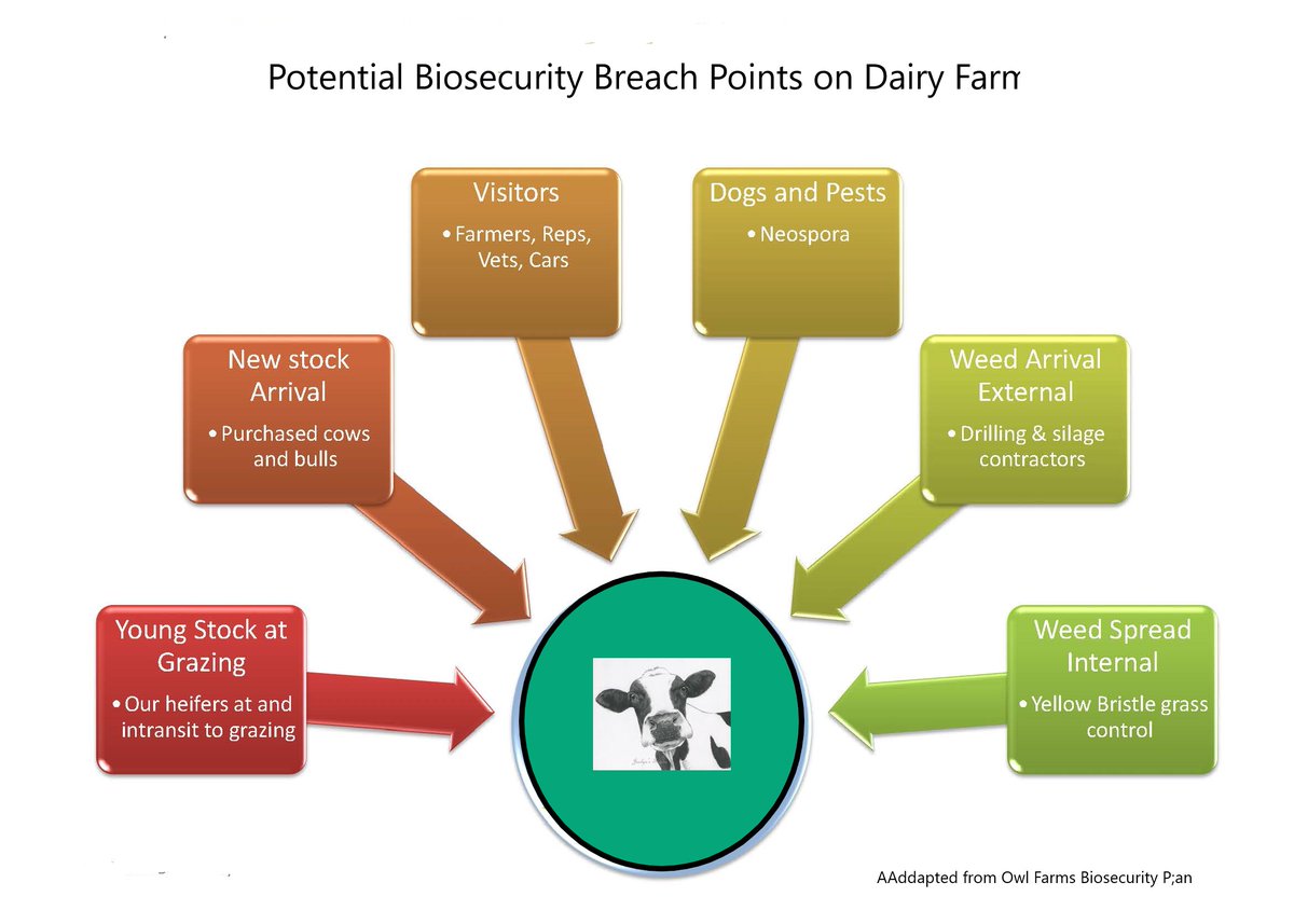 abs_tracs's tweet photo. Here's a little diagram on the potential biosecurity breach points on a dairy farm. #biosecurity #farm #farming #agriculture #ontag #onfarm #Dairy #dairyfarming https://t.co/7EuzomwD4s