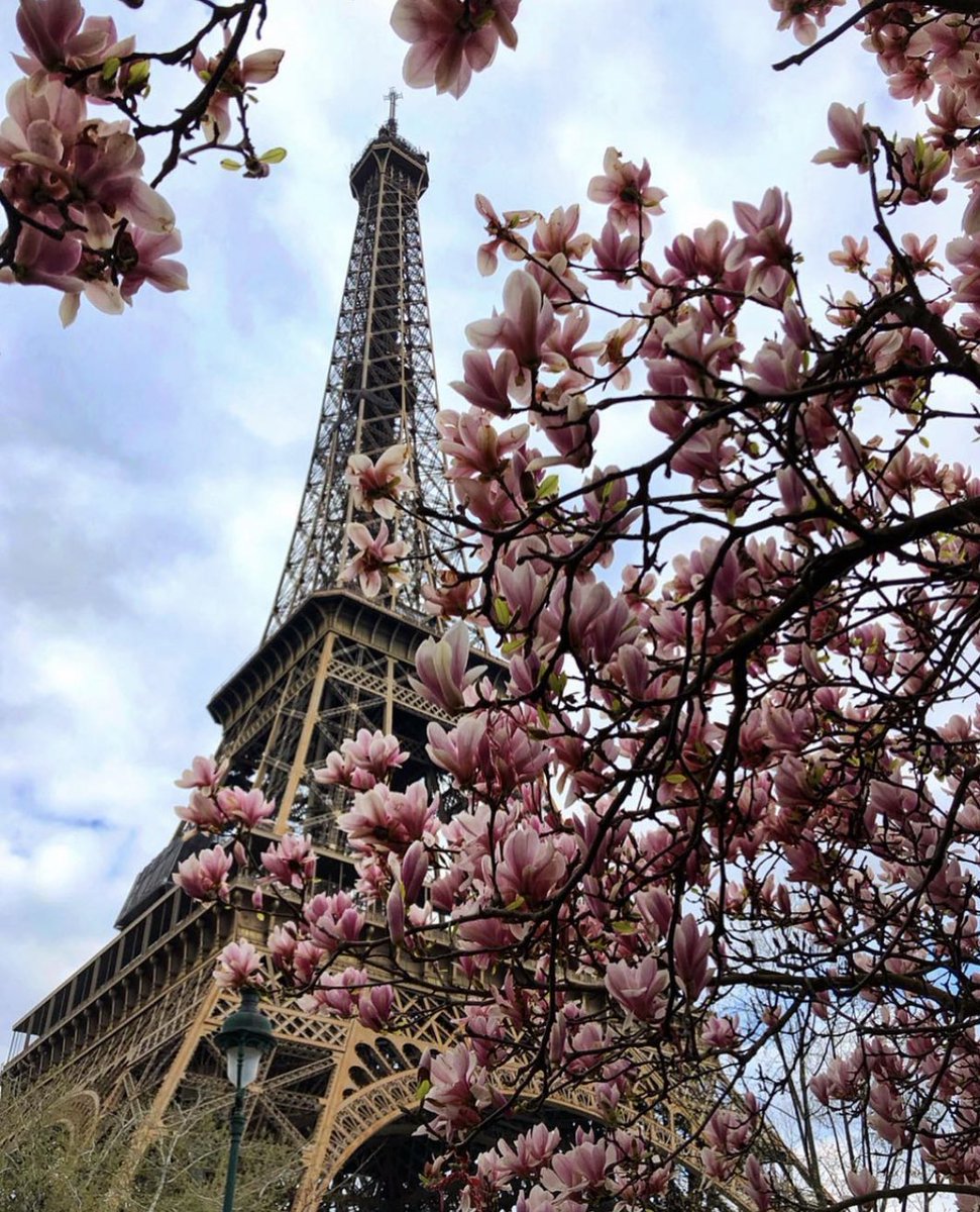 ◟ 𝐄𝐱 — 𝐊𝐞𝐩𝐭 𝐁𝐨𝐲 ➠. ◝

𝐋𝐢𝐤𝐞 𝐉𝐮𝐝𝐚𝐬 𝐛𝐮𝐭 𝐦𝐨𝐫𝐞 𝐤𝐢𝐧𝐤𝐲 𝐚𝐛𝐨𝐮𝐭 𝐢𝐭.—

𝟐𝟖 ⑈
𝐏𝐨𝐩 𝐂𝐮𝐥𝐭𝐮𝐫𝐞 𝐒𝐭𝐚𝐧
𝐇𝐞𝐫𝐢𝐭𝐨𝐫┋𝐃𝐚𝐧𝐜𝐞𝐫

𝑴𝒊 𝒄𝒖𝒍𝒐 𝒏𝒐 𝒅𝒆𝒇𝒊𝒏𝒆 𝒎𝒊 𝒎𝒂𝒔𝒄𝒖𝒍𝒊𝒏𝒊𝒅𝒂𝒅.

𝐅𝐫𝐞𝐞 𝐑𝐨𝐥 | 𝐅𝐚𝐤𝐞!