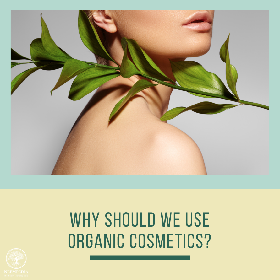 Neempedia's tweet photo. Organic makeup products have an eco-friendly way of production, taking care of our world and ourselves. As a rich source of micro nutrients, neem plays a vital role in the organic cosmetics industry. Find out how neem contributes to organic cosmetics at https://t.co/elwzRqqtmc! https://t.co/uul4n3BNx2