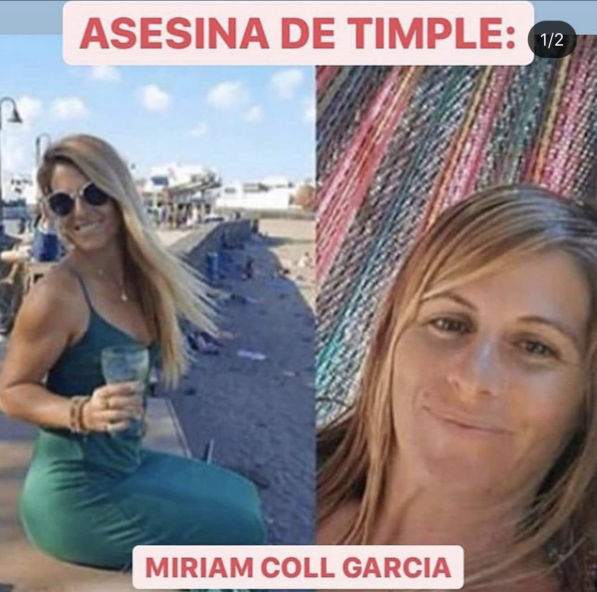 AngyFdz's tweet photo. 16 meses sin tenencia de animales es el "castigo" para esta pareja de psicopatas que torturó y grabó a su perro hasta la muerte! BASTA YA DE QUE SALGAN IMPUNES LOS MALTRATADORES! #JusticiaParaTimple https://t.co/XzwuTRnCh6