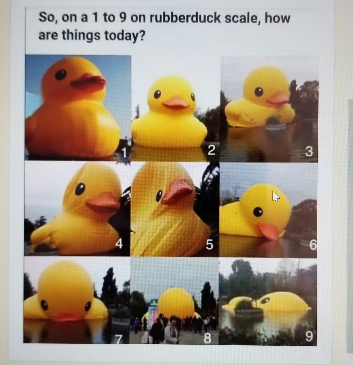 MsWittlin's tweet photo. @deelanier Thank you for a helpful presentation with so many new and fun ideas to try with my students this year! Started at a 7 and moving to a 4! https://t.co/ahBjSte0Rp