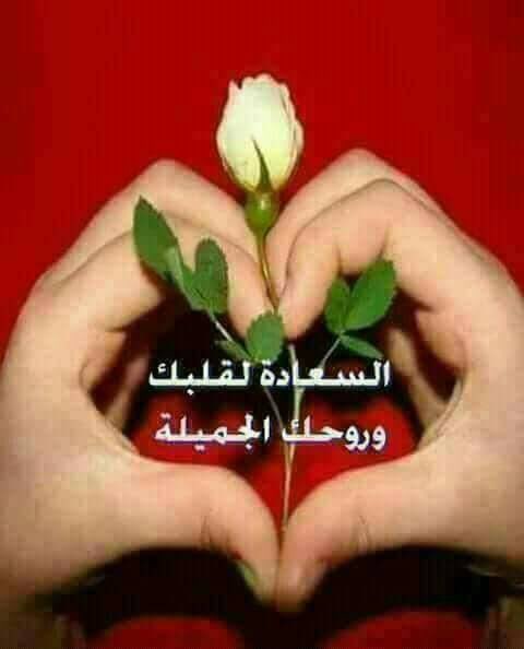 AdemHrg's tweet photo. @An7Pc آمين ياااارب العالمين 💞💞💞 https://t.co/OYmR0liqUw