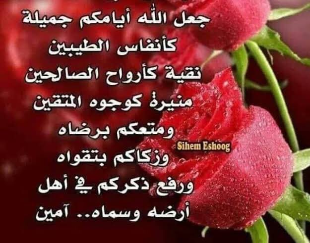 AdemHrg's tweet photo. @An7Pc آمين ياااارب العالمين 💞💞💞 https://t.co/OYmR0liqUw