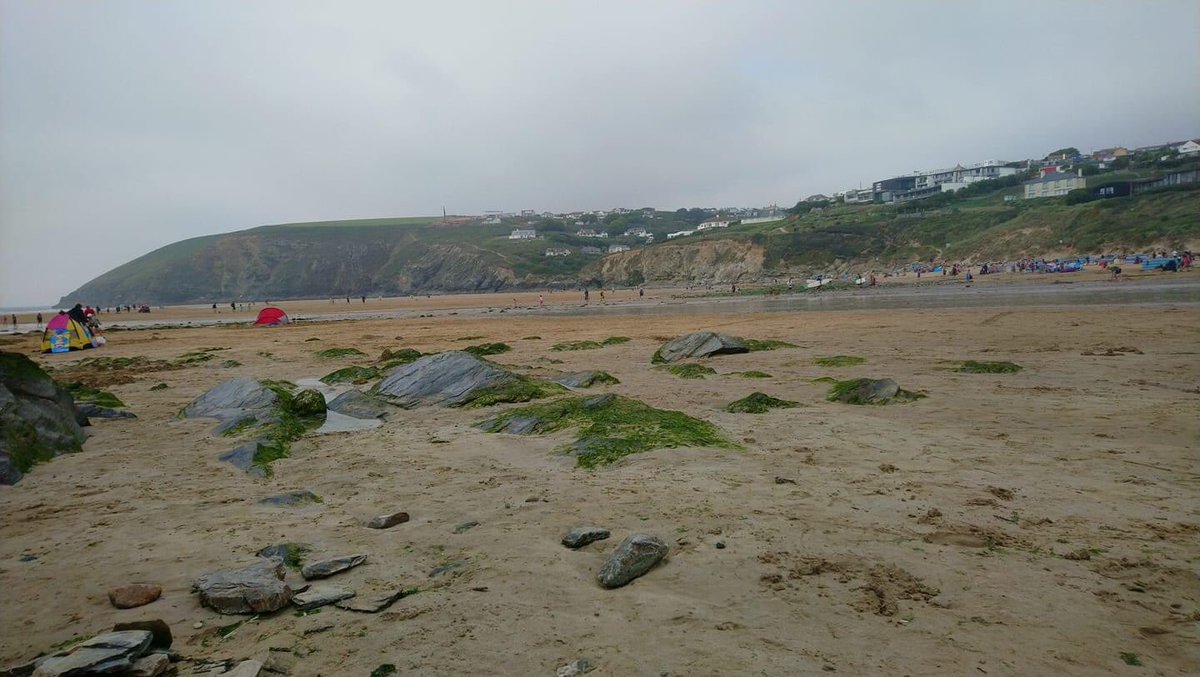 David Trevains tweet media