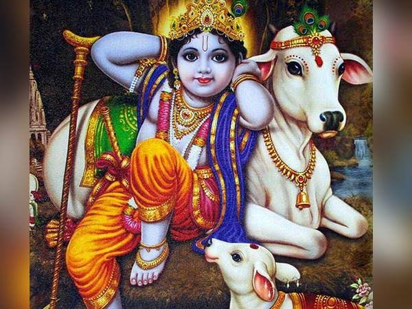 AnujBlk's tweet photo. A brief description of LORD KRISHNA on the occasion of JANMASTAMI 
- https://t.co/9QqOvR48wf

#janmashtami2020 #iskcon #vrindavan #lordkrishna #KrishnaJanmashtami2020 #radhakrishn #radheradhe #realswastik #mathura #madhav #gokul #shrikrishna #harekrishna #beatking #JogiraSaraRaRa https://t.co/GzEtFAL0Dy