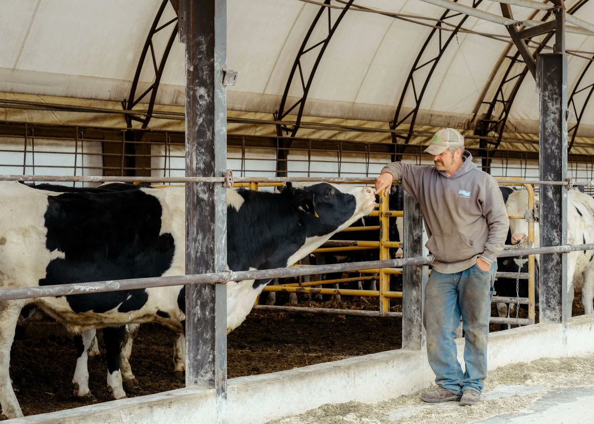 In the last decade, Wisconsin lost ~1/2 of its dairy farms, with serious implications for rural communities: 

-the population in 2/3 of the state's rural counties ⬇️
-businesses &amp; jobs disappeared
-income growth slowed
-70+ rural schools closed

newyorker.com/magazine/2020/…