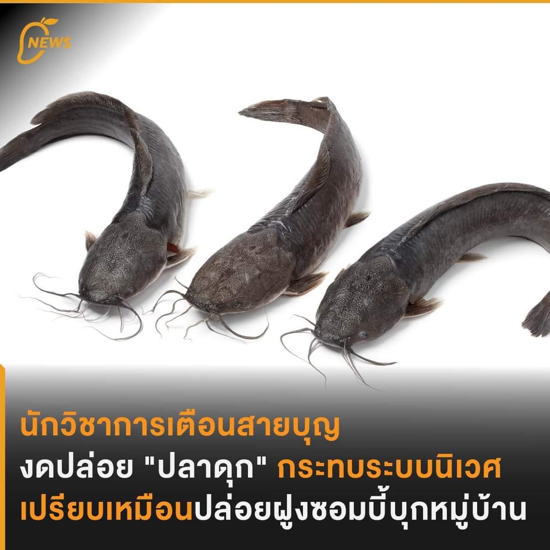 สื่ออาสาเครือข่ายนรสิงห์ tweet media