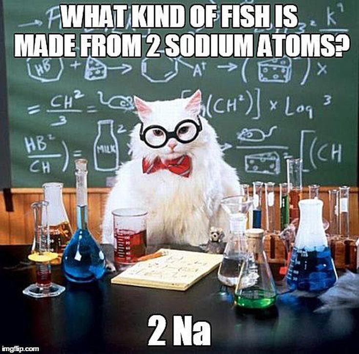 CoachNoons's tweet photo. Itβs the chemistry jokes for me.. IYKYK π€ #WeAreGR #GRscience https://t.co/t2KOKpSEa4
