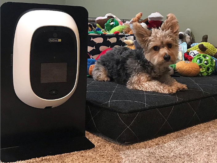 PetChatz's tweet photo. Spoil your dog πΆwith PetChatz HDX and never miss a moment again! π
Buy now & SAVE 10% with coupon code AUGUST10: https://t.co/Gqxht7nlRE
#NationalSpoilYourDogDay #PetChatz #PawCall #treatyourpet #morethanatreatcam #interactivecamera #twowayvideo #betherefromanywhere https://t.co/bmgOZUhy7L