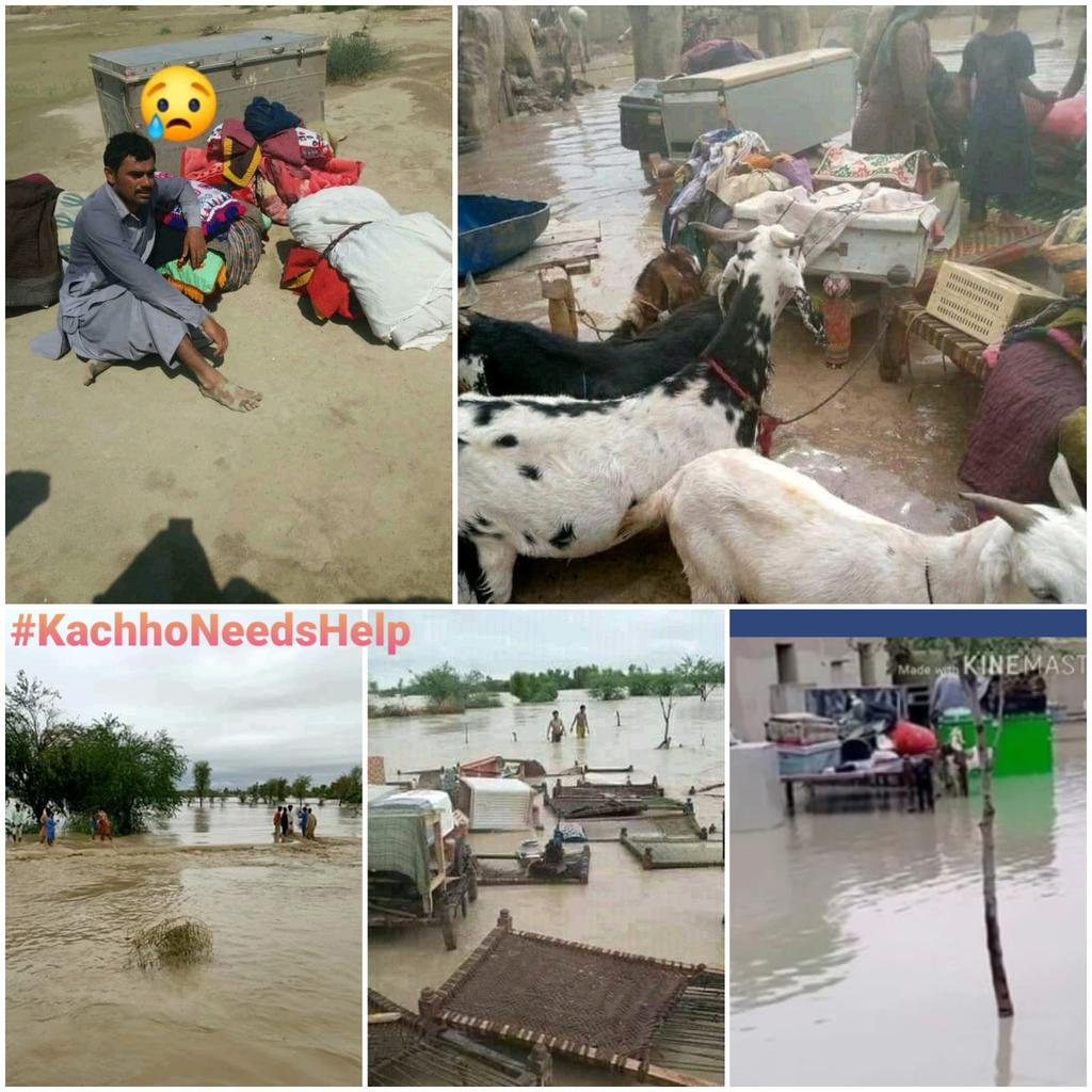baqir0786's tweet photo. #KachhoNeedsHelp 
Despite the passage of three days ,the people of CHHIDI , NANGARDARIO , SHER MOHAMMED TALPUR , JAAM BABAR and BAHAWAL BABAR villages of KACHHO (Johi-Dadu) are still hungry, thirsty ,helpless and waiting for an Angel  from the Sky.
@ImranKhanPTI  
@SAFoundationN https://t.co/DupdJNDhCX