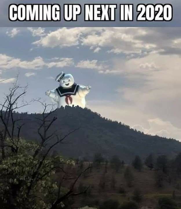 zealprophet27's tweet image. Who has this on their Bingo card?
#humor #2020joke #ItJustPoppedInThere #StayPuft #WhoYouGonnaCall
