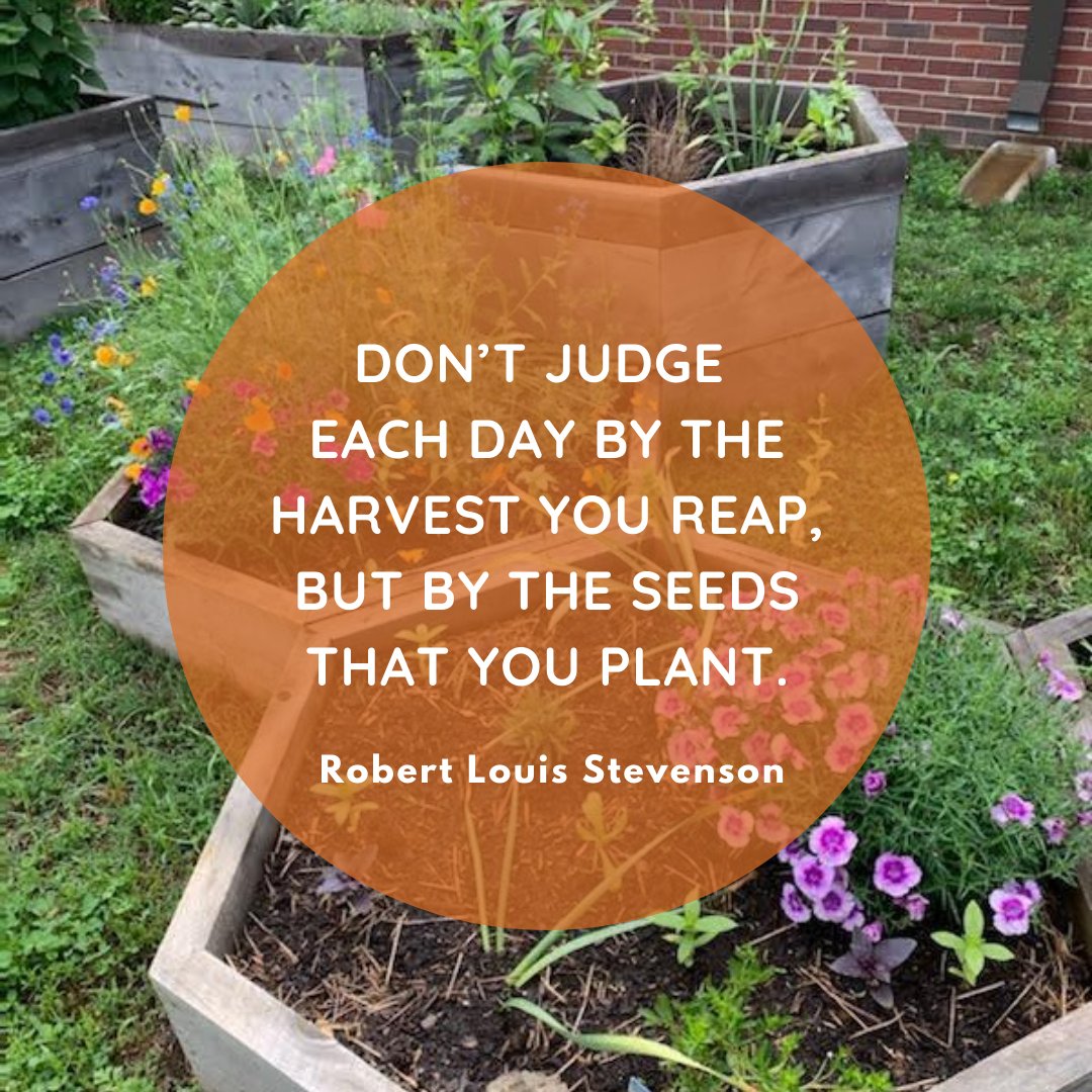 ~
~
~
~
#seeds #nojudgementzone #gardens