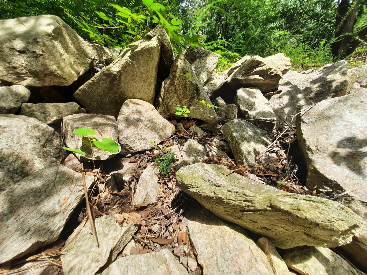 Ben Zino tweet media