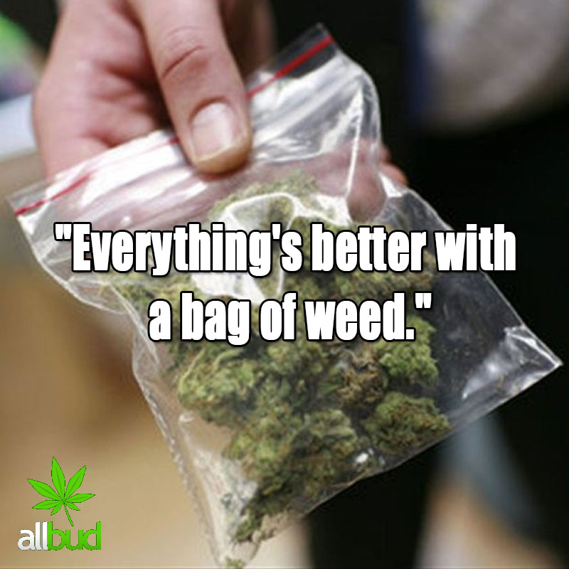 Everything's better with a beg of weed.
#allbud #marijuana #quotes #cannabis #weed #medicalmarijuana #cannabisnews #legalization #use #smoke #enjoylife #healthylife