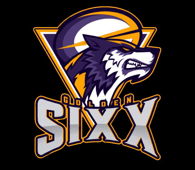 Golden6ixx's tweet photo. Nueva imagen ‼️ Desde hoy dejamos de ser Team Razzidius y pasamos a ser Golden Sixx ®️. Aprovechamos de presentar nuestras nuevas imágenes de RRSS, realizadas por @GrizzlyCod1. #Go6S https://t.co/cjTbpvMGI6