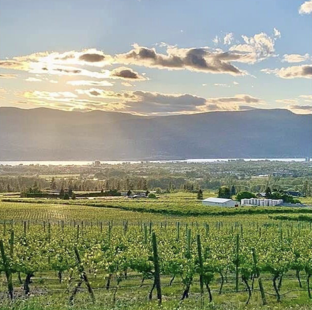The view from @TheViewWinery in #Kelowna is just breathtaking. If you have not been, visit them and learn their story - sample their wines and ciders on their family estate! #OKWineFests