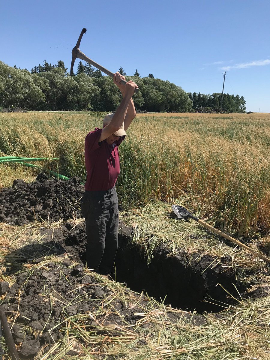 Attn Manitoba CCAs! DYK that MSSS is hosting a self-guided tour this Weds? Digging is underway today. Tour includes the iconic Almasippi and Red River soils. Did I mention 3.5 S&amp;W CEUs available? RSVP to msss@umanitoba.ca if you plan to attend. More info: mbsoils.ca/event/summer-f…