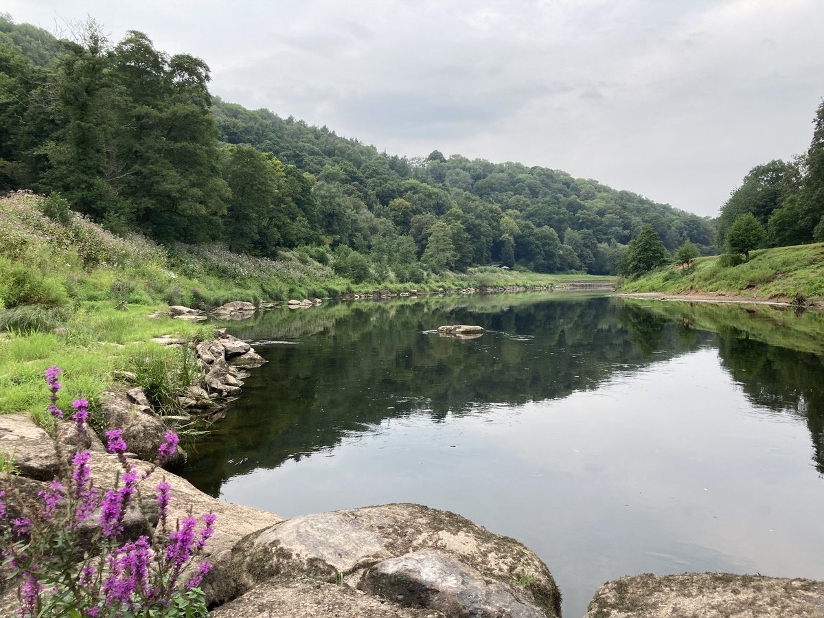hadnock's tweet photo. Late afternoon and it’s flat calm and humid. The thunder storms never came. Looking upstream towards #Redbrook and downstream towards #Whitebrook #wye #wyevalley #penallt https://t.co/7g9Y9229dh