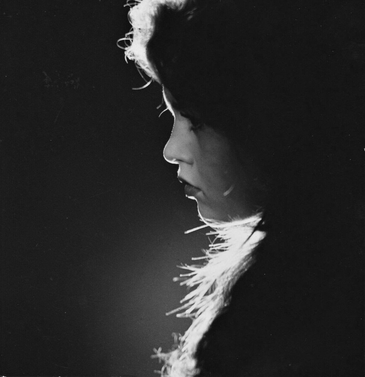 jatustein's tweet photo. Brigitte Bardot photographed by Sam Levin in 1954.
#BB #BrigitteBardot #SamLevin #photography #50s https://t.co/9Lr9WCHpz1