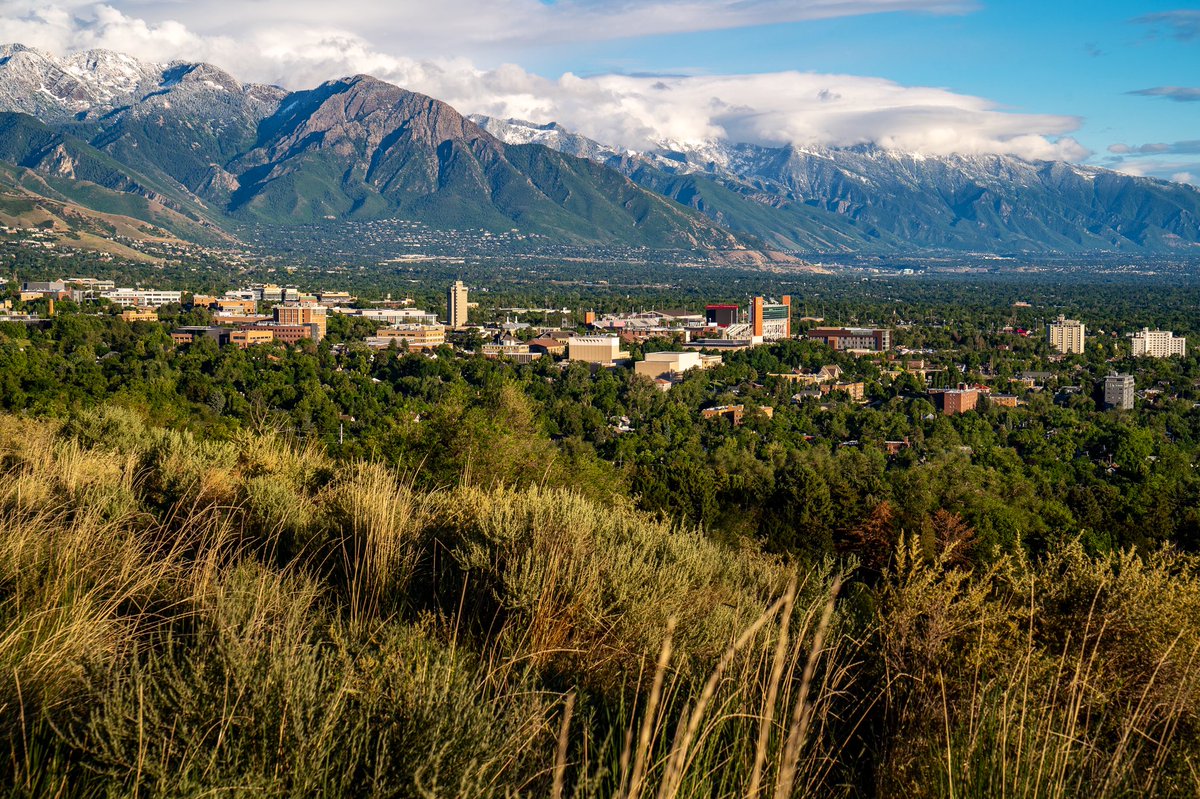 utahathletics's tweet photo. Home sweet home. 🏠 https://t.co/Y8E9J5JryF