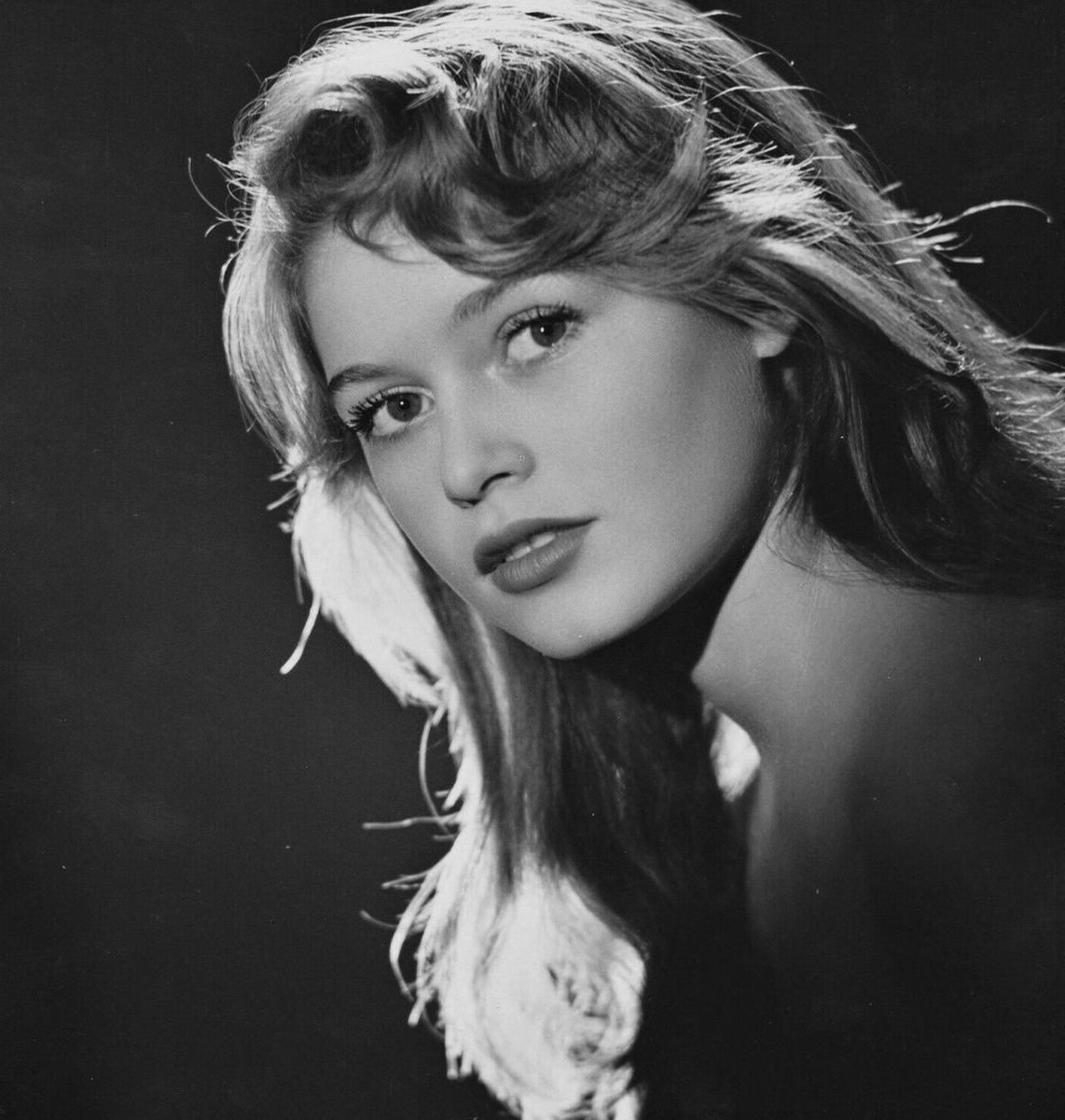 jatustein's tweet photo. Brigitte Bardot photographed by Sam Levin in 1954.
#BB #BrigitteBardot #SamLevin #photography #50s https://t.co/1UZBg2j3DQ