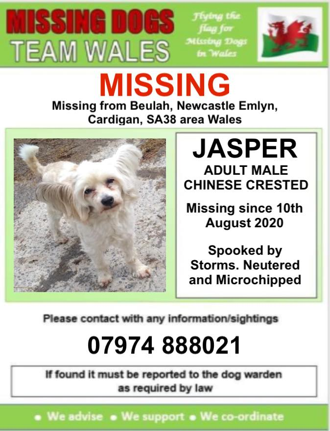 gelert01's tweet photo. #JASPER spooked by storms 10/08/2020 #Beulah #NewcastleEmlyn #Cardigan #SA38 area #SouthWales #Chipped #Neutered
@rosiedoc666 @MissingPetsGB @Lorrain90964806 @RachaelB100 @ChrstinaKelly @veryluckypugs @sharonwrdl @thedogfinder https://t.co/9wUAmAkcMi