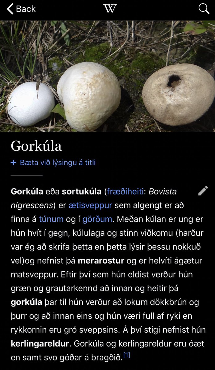 Einstaklingurinn sem skrifaði þessa Wikipedia grein um gorkúlur hefur líklega verið búinn að fá sér aðeins of mikið af gorkúlum og/eða Víking Sterkum