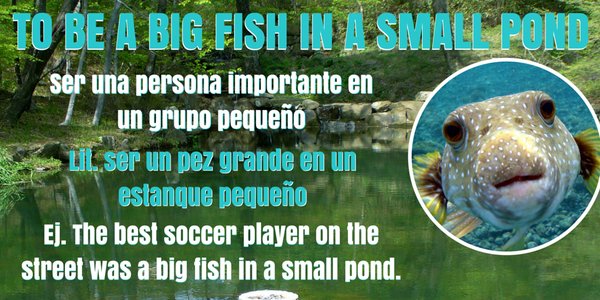 Inglés EE.UU. tweet media