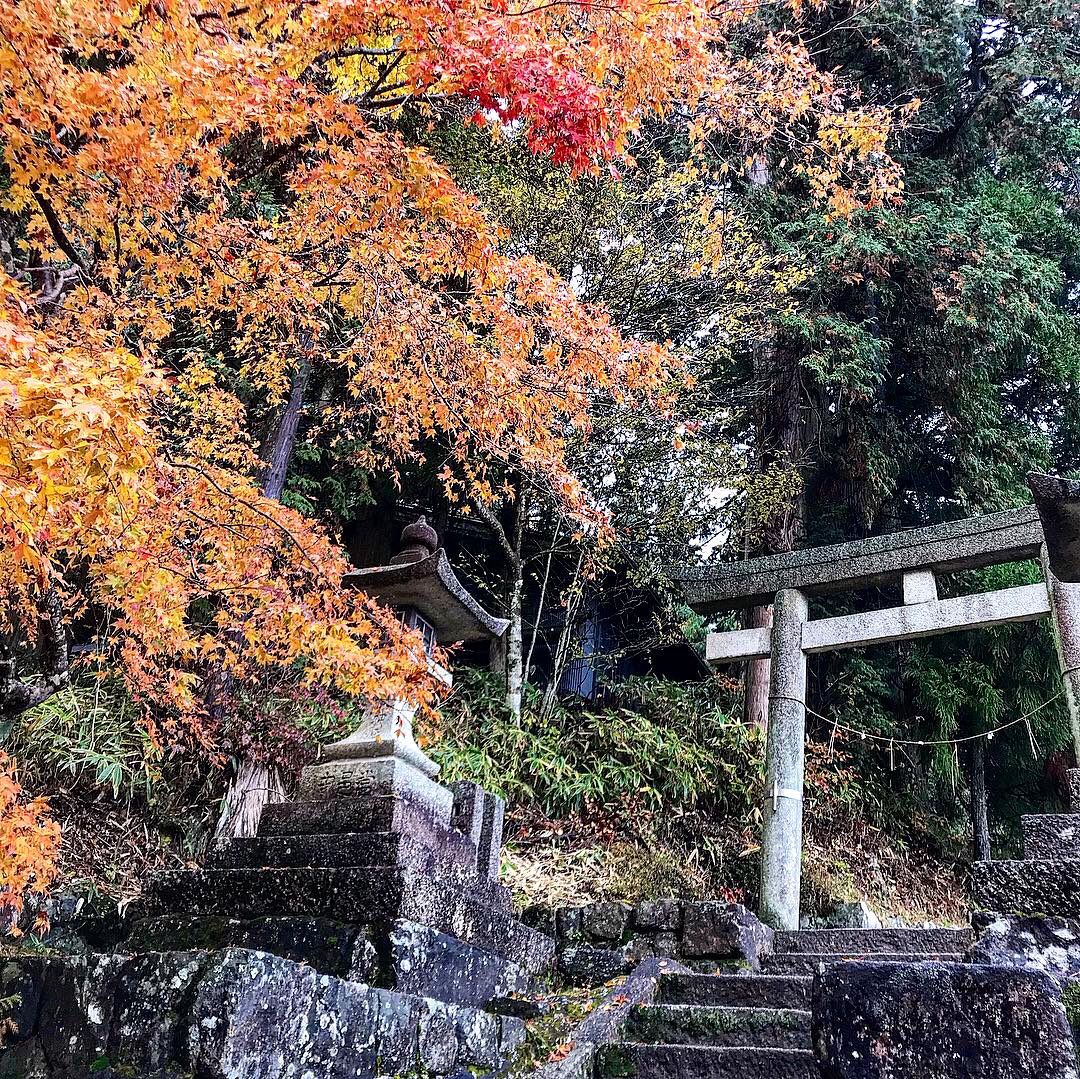 Day126: happier times walking the Nakasendo trail  #NakasendoTrail  #Tsumago  #Magome  #Japan – bei  梨子ノ木坂