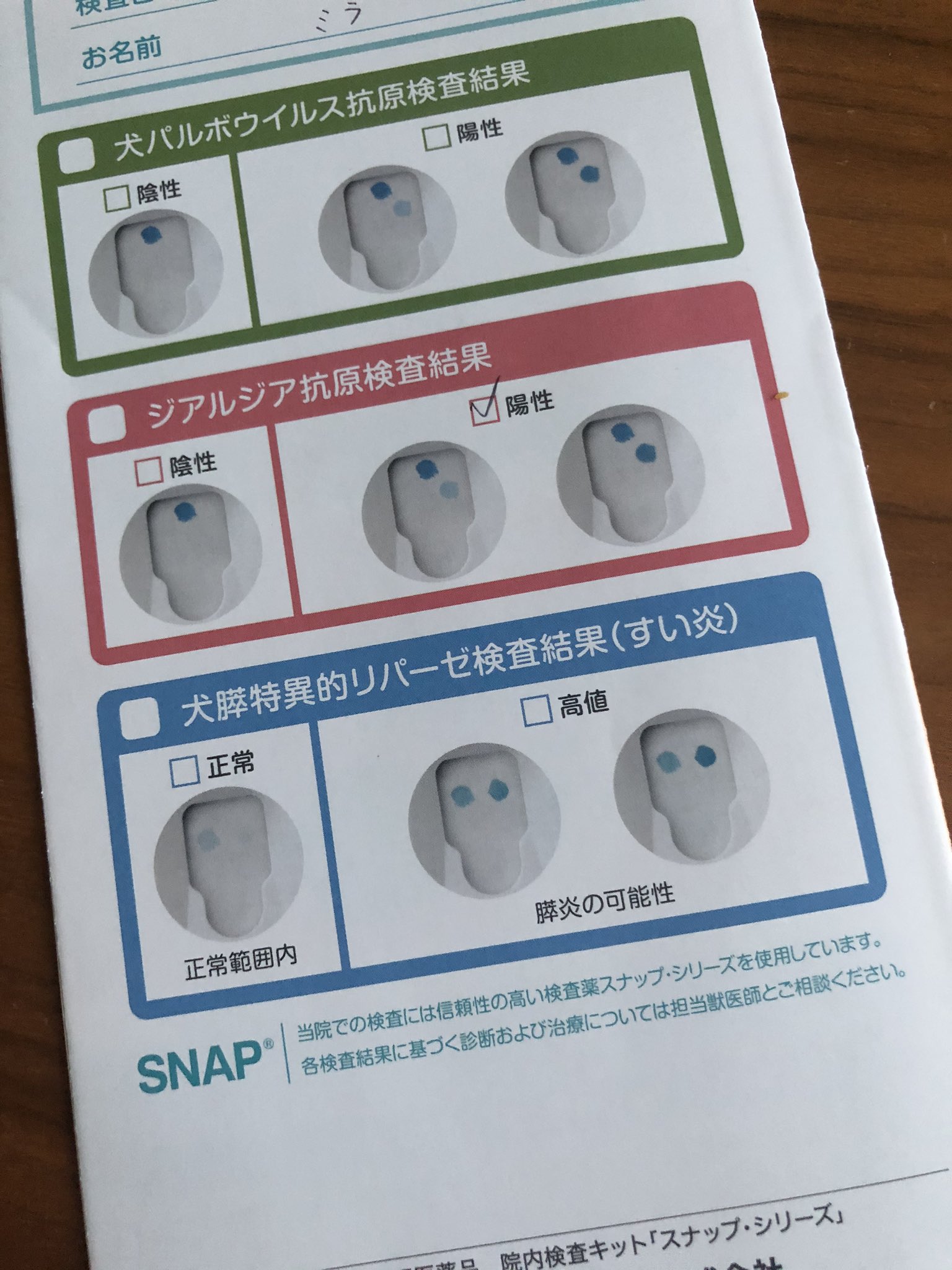 チヒロ ジアルジアではなかったですか ジアルジア検査キットで確認してもらって陰性なら間違いないとは思いますが キットでの検査 だったのでしょうか うちは検査結果は完全に陽性でした 原因分からないと不安ですよね