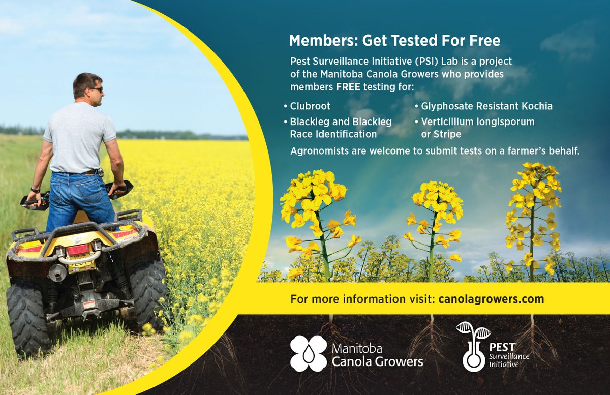 MB Canola Growers are excited to offer FREE testing for members through @mbpestlab

Get tested for clubroot, blackleg, blackleg race identification, verticillium &amp; glyphosate resistant kochia

RETWEET to help us spread the word &amp; be entered to WIN a Canola Prize Pack
#CanolaChat