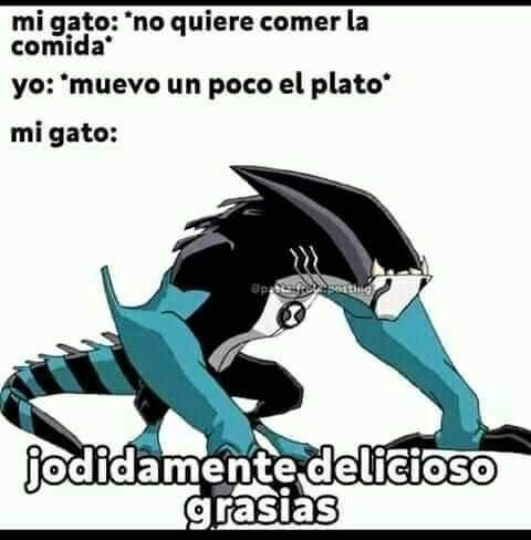 yo qué sé tweet media