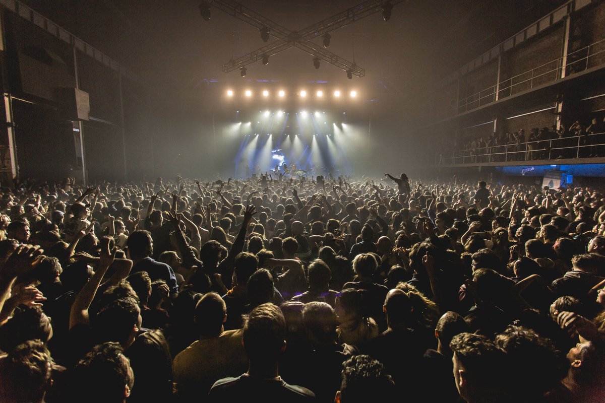 La Vela Puerca tweet media