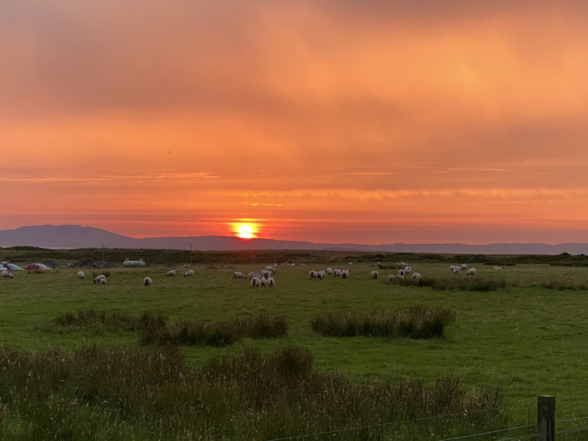 Stunning sunset this evening