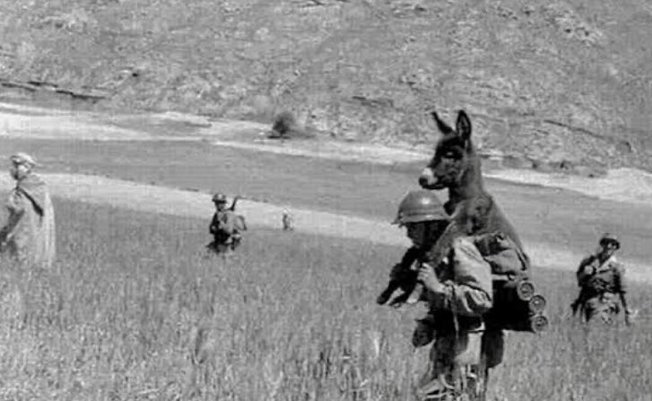 <a href="/drfahrettinkoca/">Dr. Fahrettin Koca</a> Bu asker eşeği sırtında taşıyor. Bunu eşeği çok sevdiği için değil yürüdükleri bölge mayınlı olduğu için yapıyor. Bunu yapmazsa eşek serbestçe gezecek ve hepsi havaya uçacak. 
Siz de maskesiz gezen eşeklerinizi kontrol altında tutun. Yoksa durum daha da kötüleşecek.