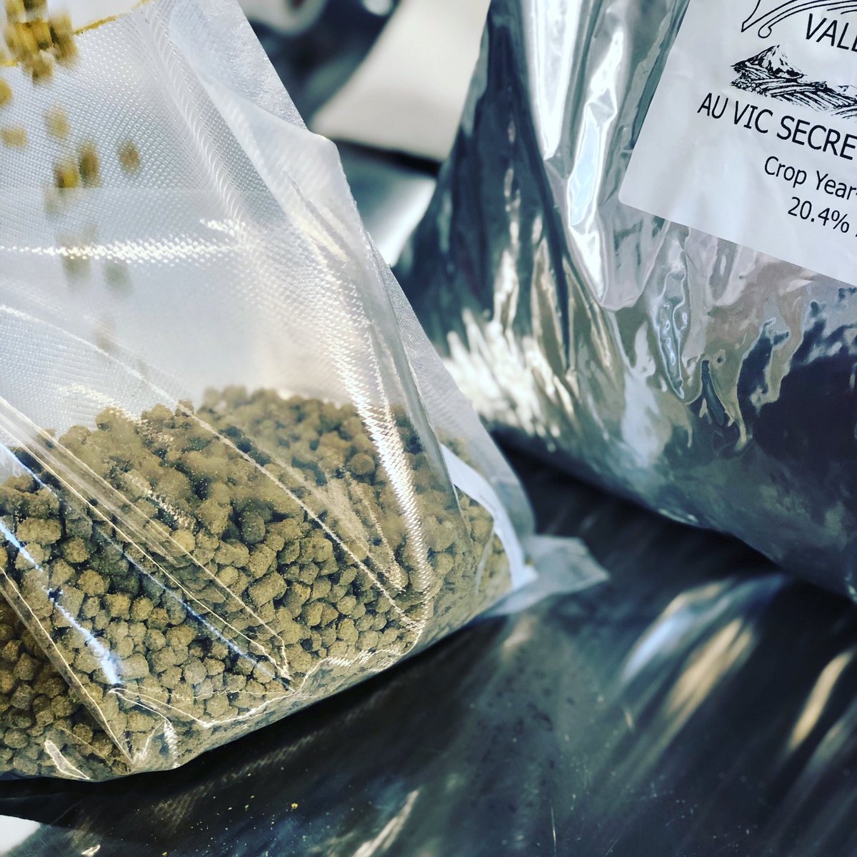 Wise I Brewing Company tweet media