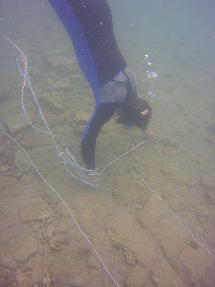 TerraSubmersa's tweet photo. #Kiladha2020 First week of research, education and public outreach in the Bay of Kiladha, Greece: pulling a few strings https://t.co/mnykFs23bl