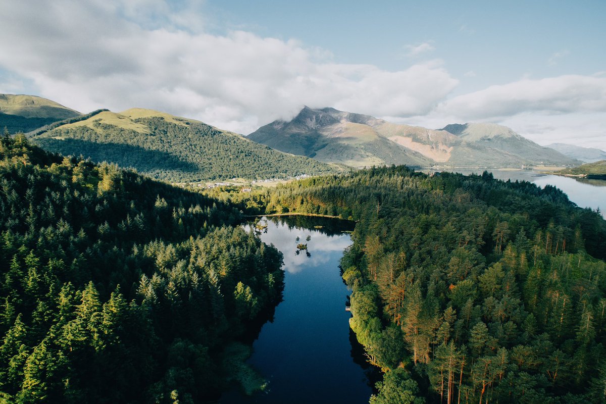 Daniel Casson tweet media