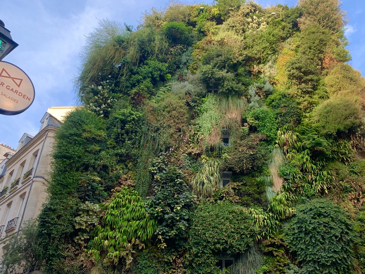 may_east's tweet photo. In search of a biophilic experience in Paris to offset 34°C today... visiting several #patrickblanc vertical gardens designed to offer cooling environments in the summer and insulation in the winter months #murvégétal #greenwalls https://t.co/zkBotB7LQf