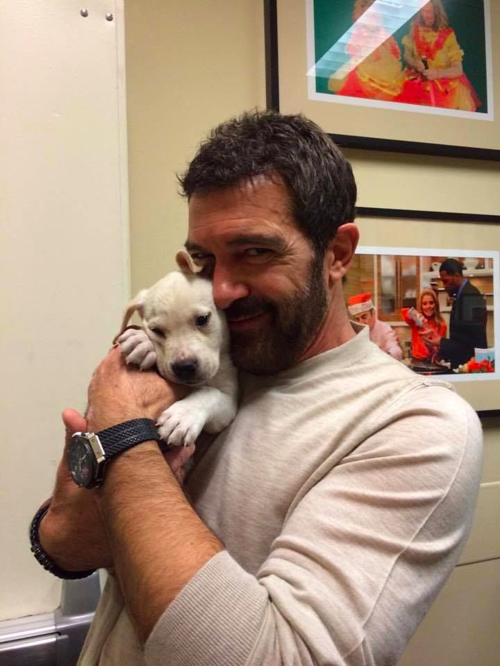 Happy Birthday (and a swift recovery from COVID) to actor Antonio Banderas. 