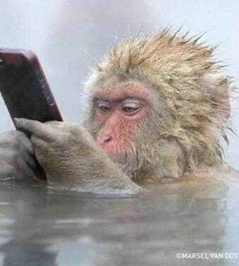 Aphexm1ke's tweet photo. Stoned in DM’s... 

@AphexTwin #StoneInFocus https://t.co/1PW1QJlCd7