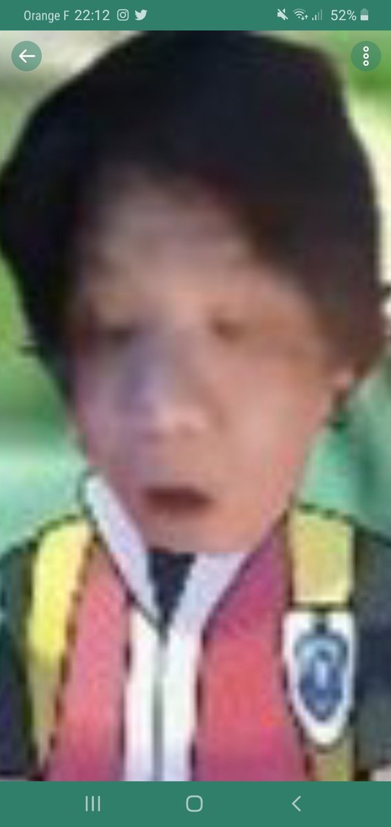 DownloaderBot tweet media