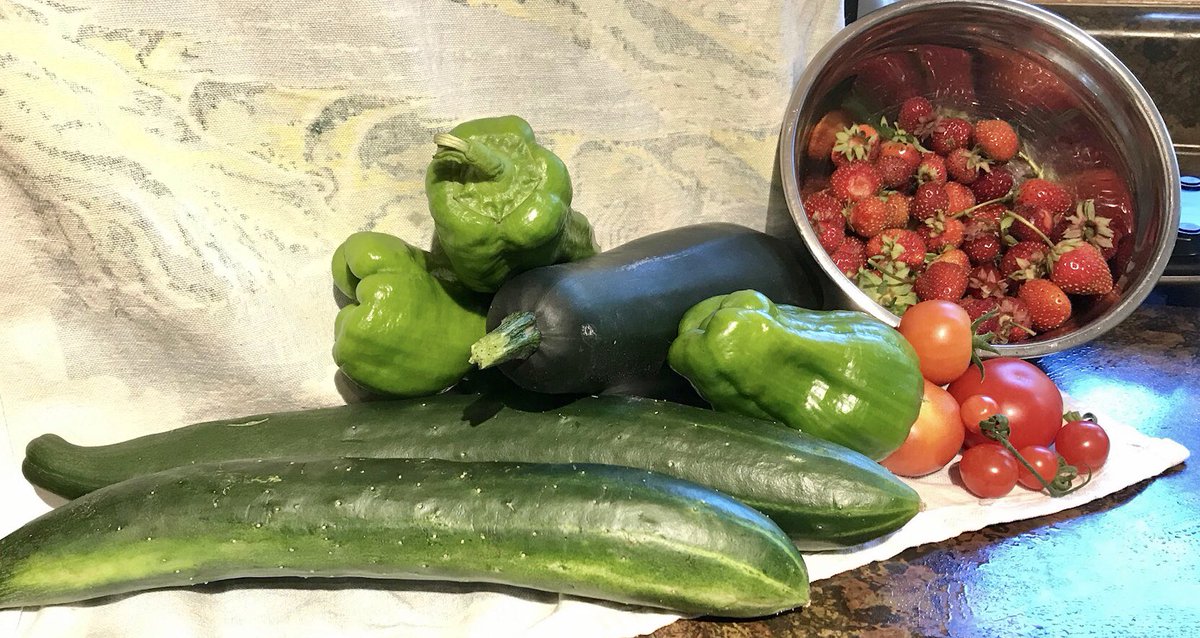 FarmNova's tweet photo. This mornings haul from our personal garden. Sometimes we get so busy on the farm, our veggie garden takes a back seat but it always gives us lovely gifts regardless of the neglect #FarmNation #growStronger @kubotacanada #farmlife #VernonBC https://t.co/LfBBptop0O